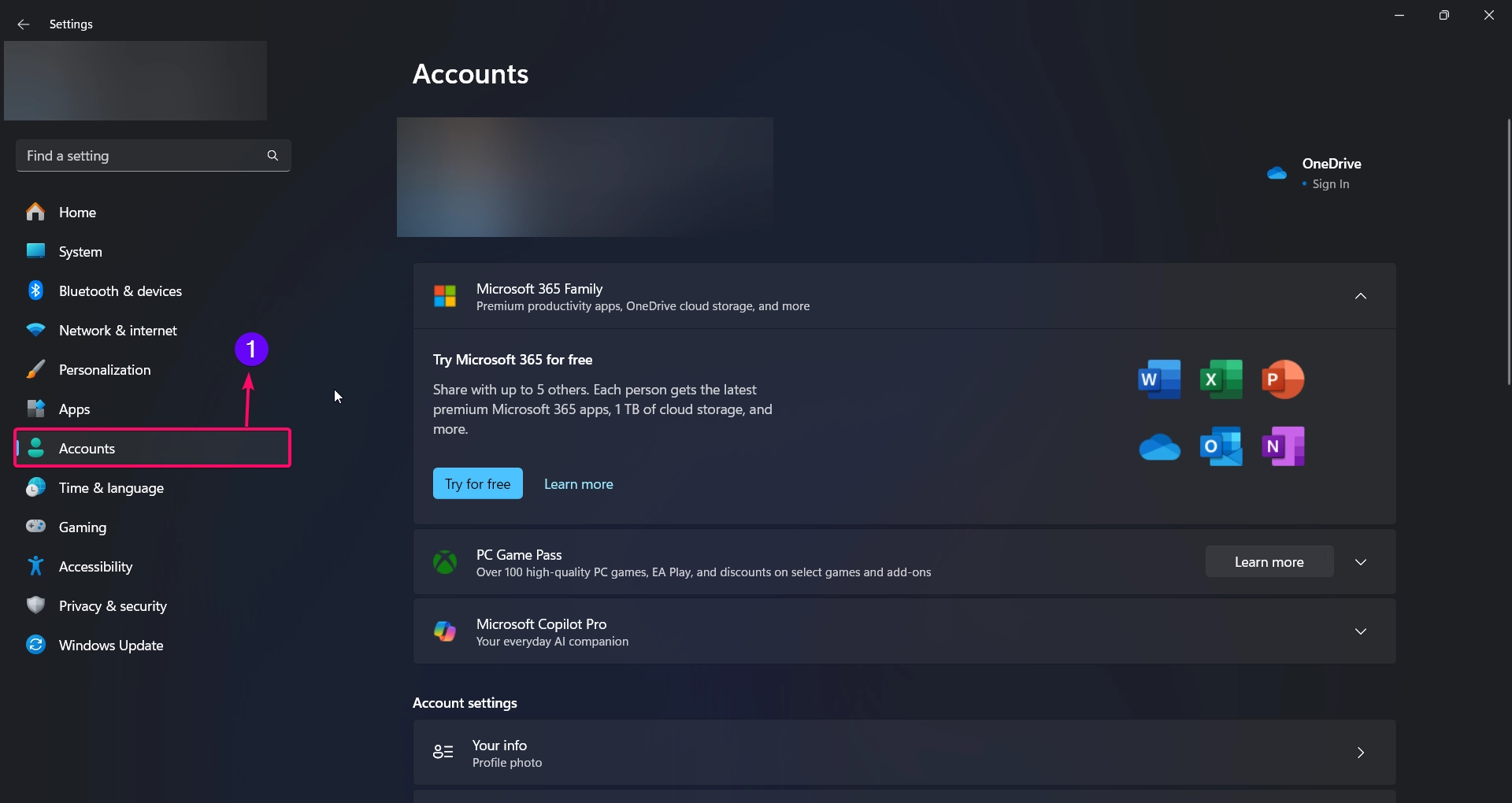 Choosing Accounts from the Windows Settings