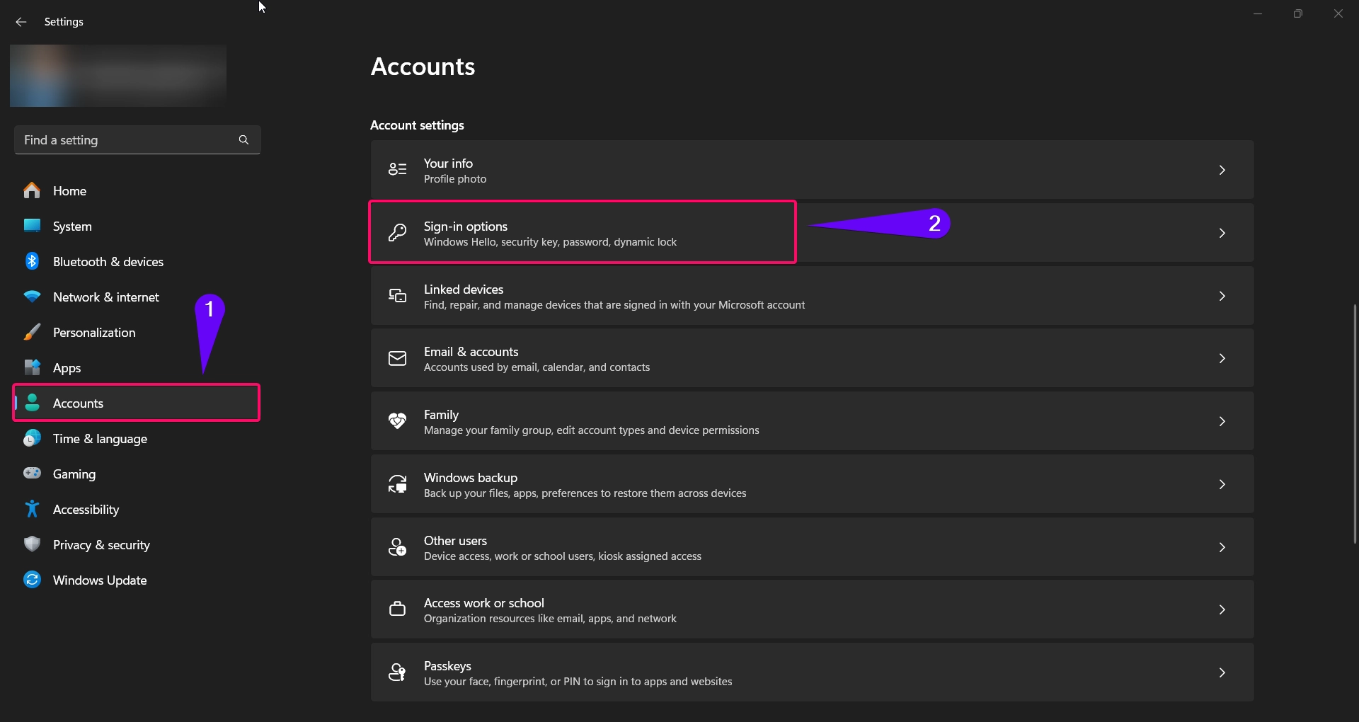 Choose Signin options from Account Settings