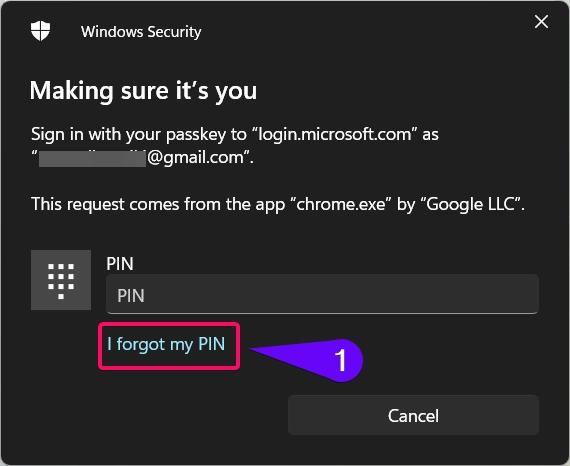 Click I Forgot my PIN option