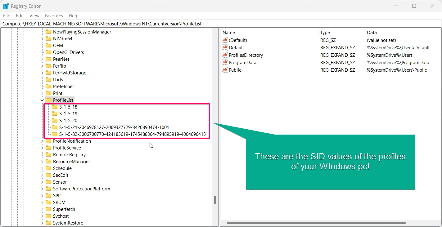 UNder Profile list you can find SID values