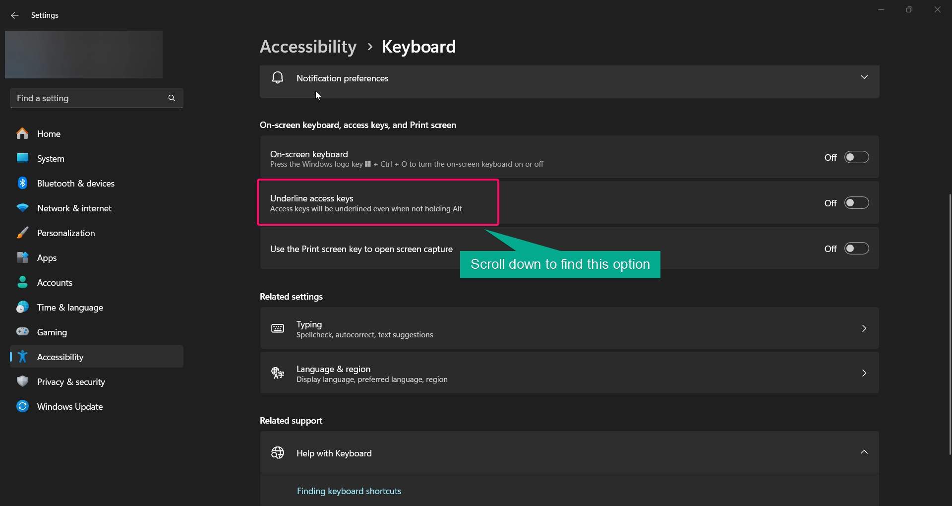 Scroll down and find Underline access keys