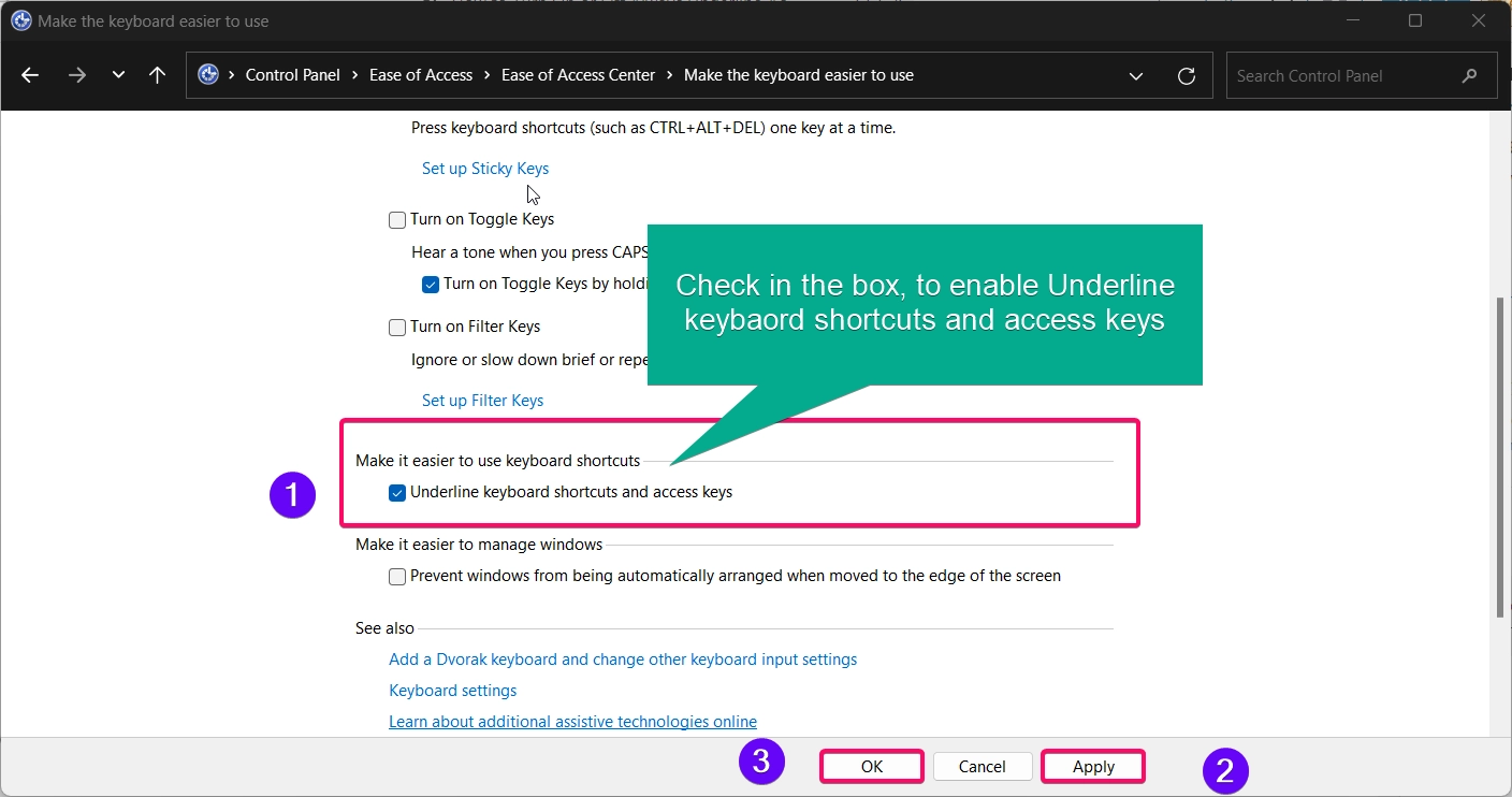 Check in the Underline keyboard shortcuts and access keys options