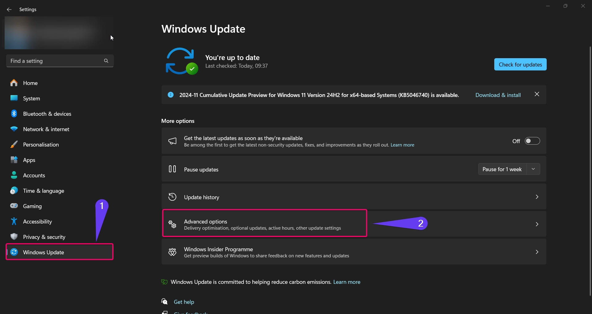 Choose Advanced options from the Windows Update option