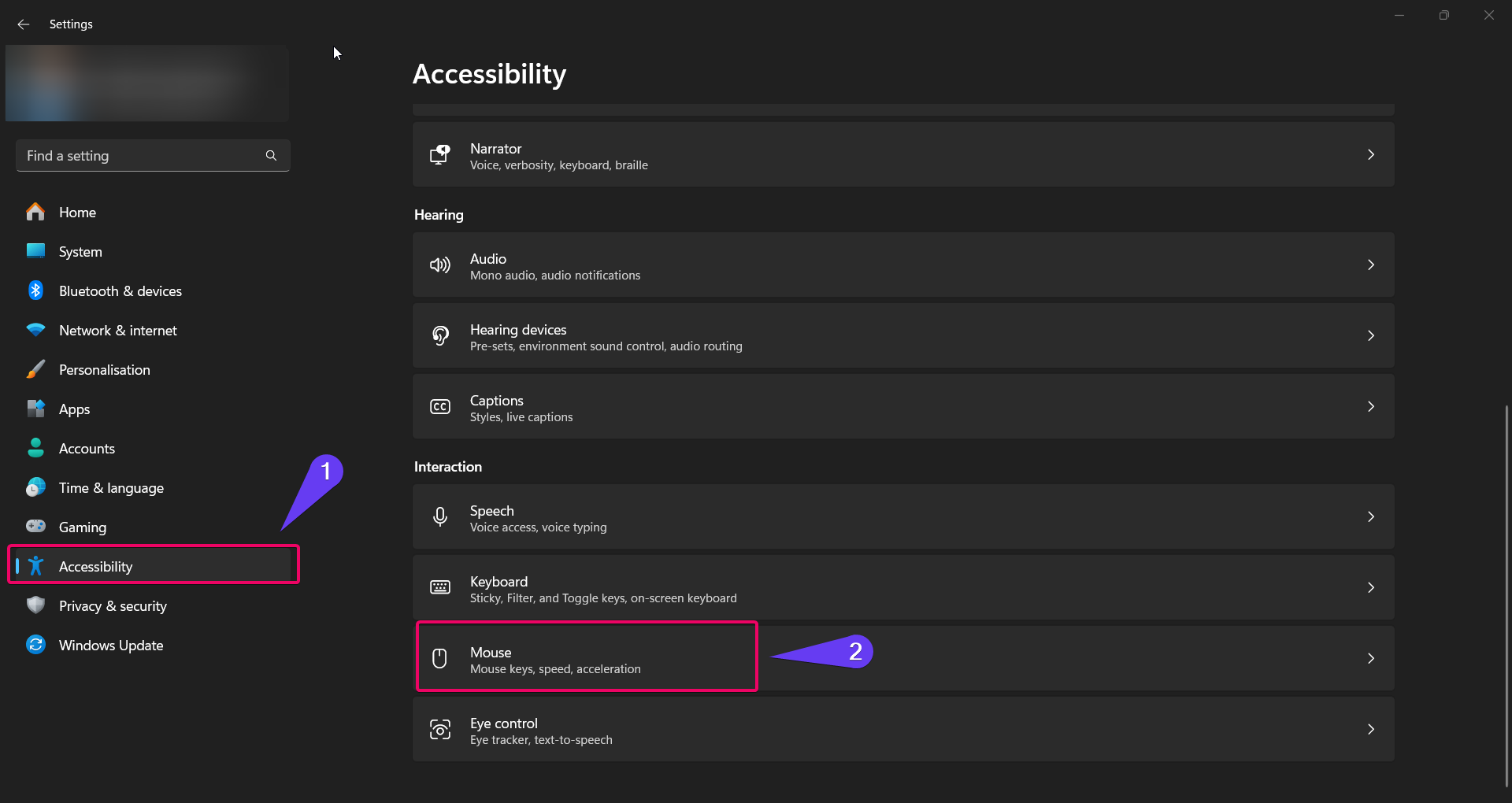 Choose Mouse from Accessibility option