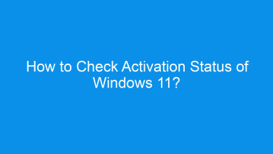 how to check activation status of windows 11 1370