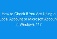 how to check if you are using a local account or microsoft account in windows 11 349