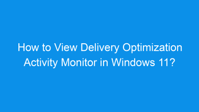 how to view delivery optimization activity monitor in windows 11 1440