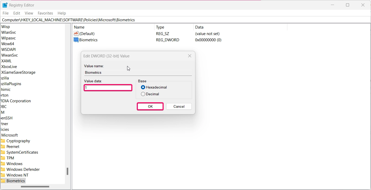 Enabling the Disabling BioMetrics using registry Editor